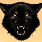 {N-K-D}Wolf